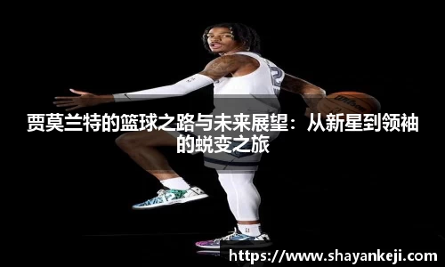 bsports官网入口